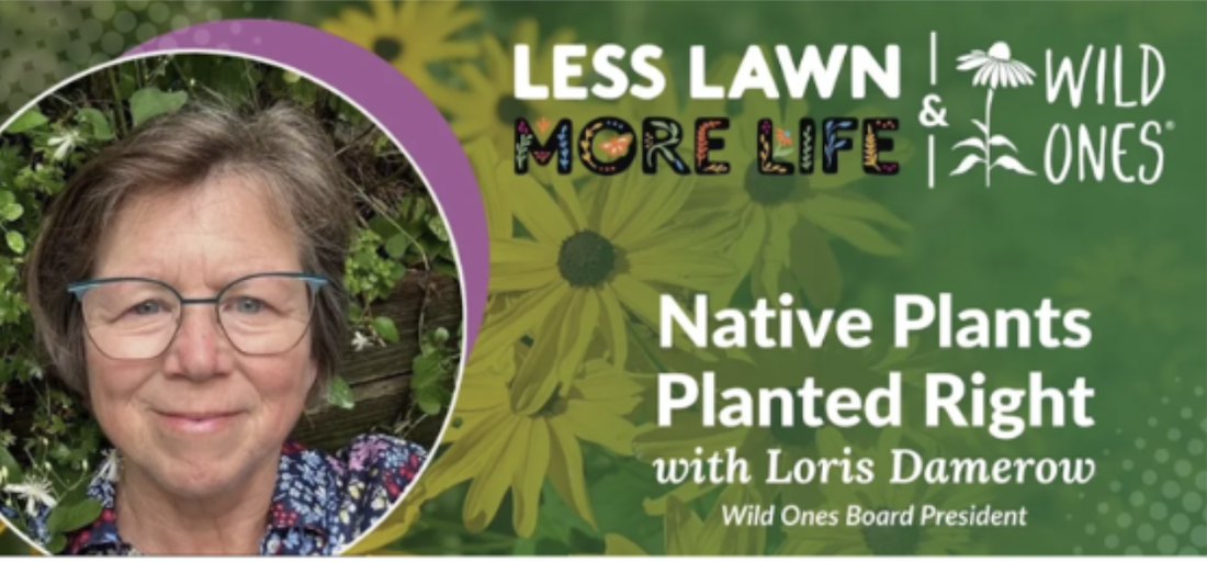 Less Lawn – More Life